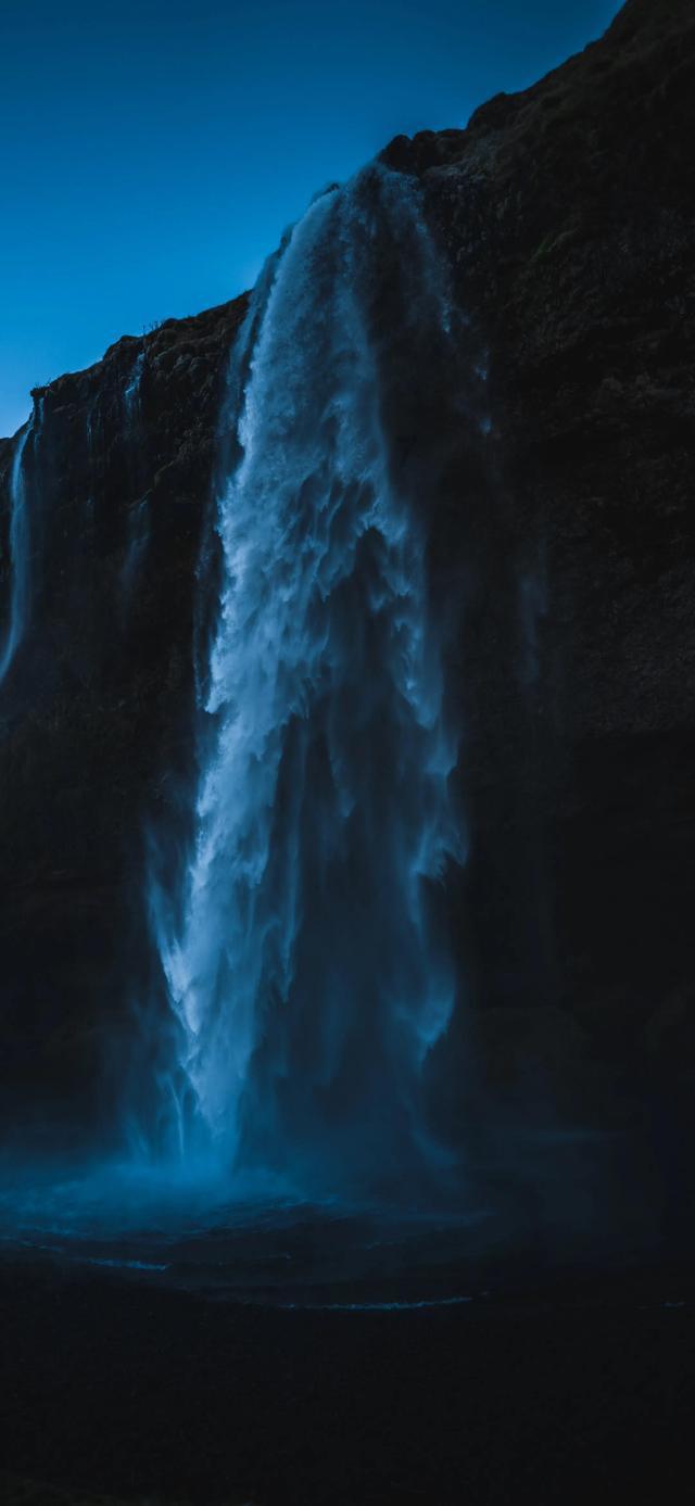 拯救小萌虎