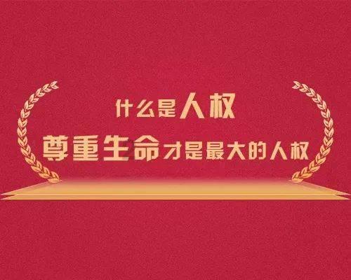 DIY小妙招：创意手工制作，让生活更具趣味性